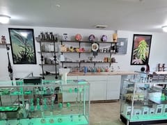 CBD store and more