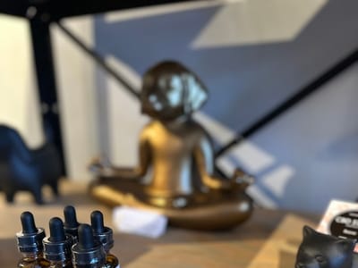 CBD Store - Beaver, PA