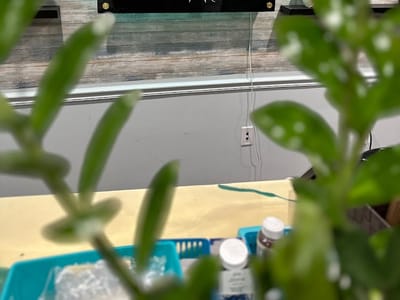 CBD Store | Bethel Park, PA