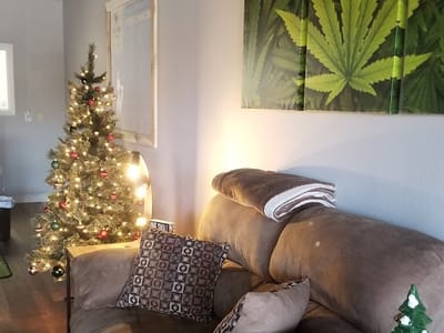 CBD Superstore - Peachtree City