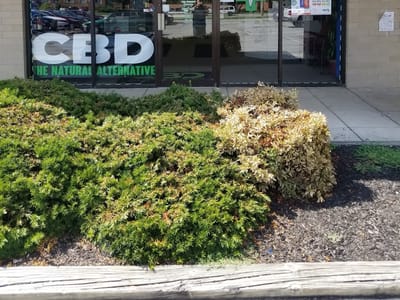 CBD Supply MD York