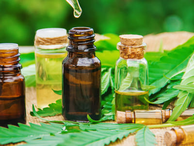 CBD Vitality Advantage Holladay