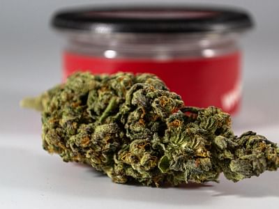 CBD Vitality Advantage Holladay