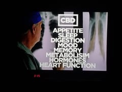 CBD - Who's Your CBD Guy