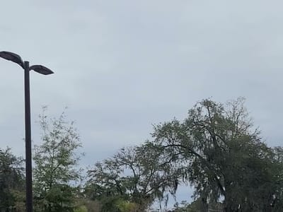 CBD+ Wilmington Island