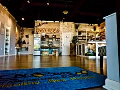 CBDBees Health and Wellness Boutique Fredericksburg