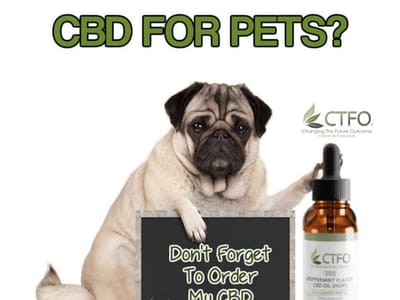CBDClubHemp.com - CBDa Chicago & USA