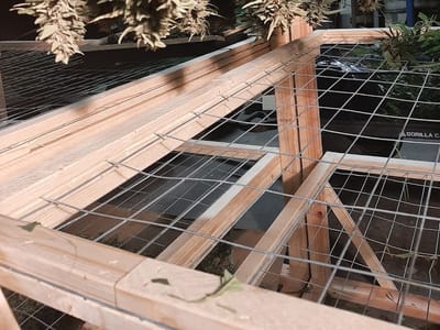 CBG Thunderbolt Farms LLC