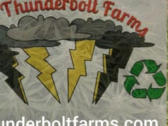 CBG Thunderbolt Farms LLC