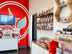 Celestial Stem | CBD & Wellness