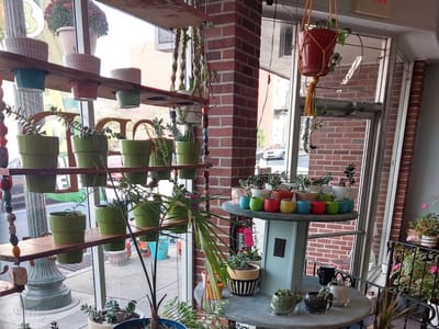 Chambersburg CBD and more