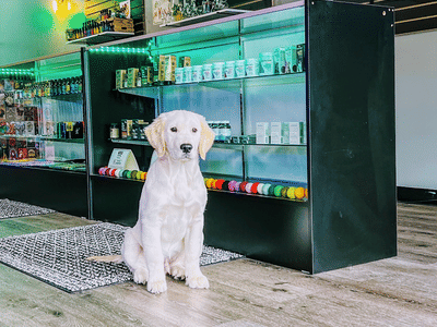 Chill Naturally - Your Pace/Milton Delta 8, Hemp Derived THC & CBD Store