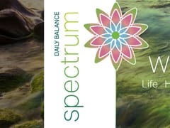 Clingman CBD / Wanae USA