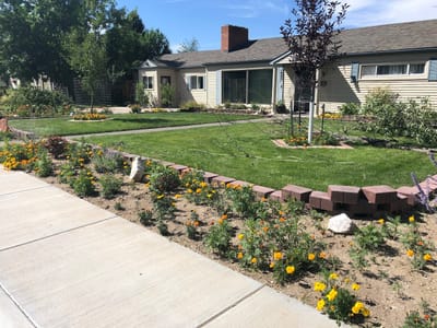 Clingman CBD / Wanae USA