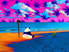 Coastal Alternatives