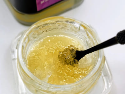 Coastal Alternatives