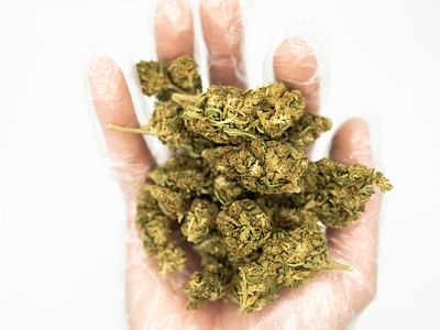 Coastal Clarity THC Dispensary