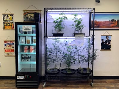 Colfax Cannabis Company