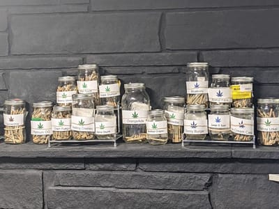 Collective Elevation Billings