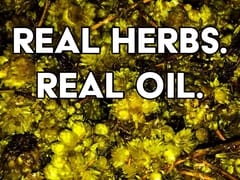 Conklin and Chemist Fine Oil Makers (CBD Store Mesa)