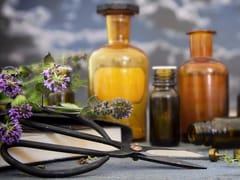 Corner Store Apothecary & More