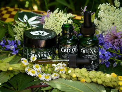 Coulee Cannabis Farm