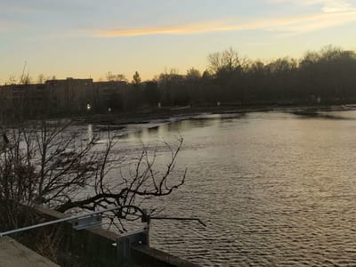 CryBaby CBD for Humans & Pets