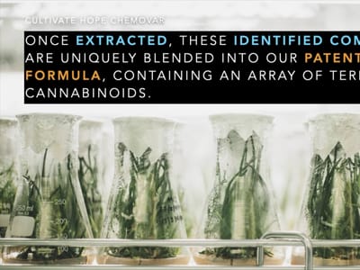 Cultivate Hope Chemovar