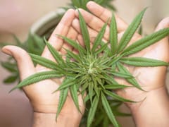 Dakota Organics Life-Giving CBD Oil & CBG Products