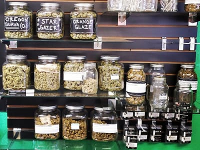 DB ROCKS Quality CBD