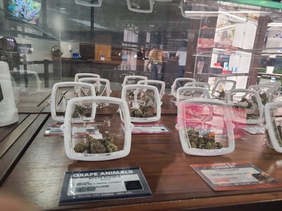 Deep Roots Harvest Dispensary