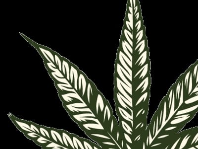 DELTA 8 THC & CBD Dispensary & Glass Gallery