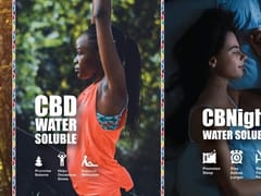 Delta 9 / CBD American Shaman of Rogers