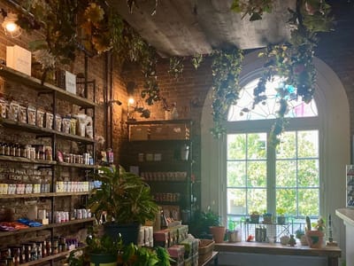 District Hemp Botanicals