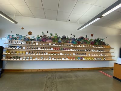 Dockside Cannabis - Shoreline