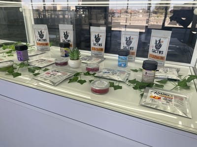 Dreamz Dispensary - Roswell