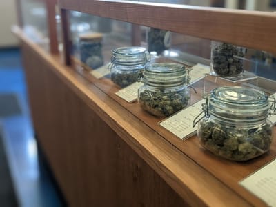 Dunegrass co - Marquette