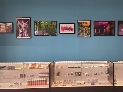 E-Cig POD - Delta 8, Edibles, Vape, and CBD