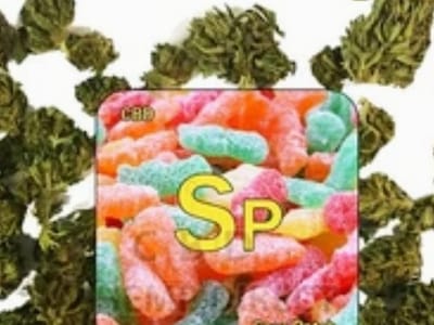 Eazi-livin-cbd-hemp-shop