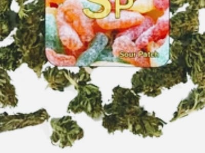 Eazi-livin-cbd-hemp-shop