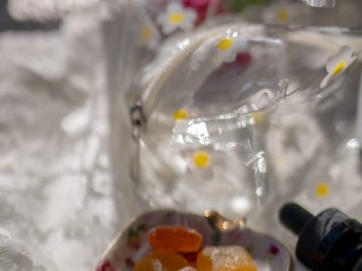 Elevar Wellness + fénix CBD