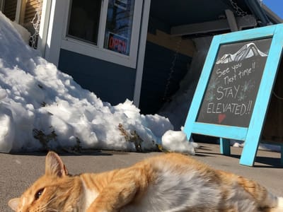 Elevate Shasta Cannabis Dispensary