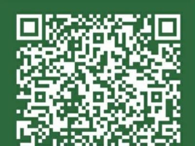 EMS Global Wellness Corp.