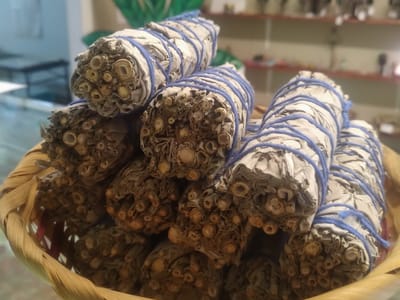 EndoSOLUtIONS CBD Hemp Store and Museum