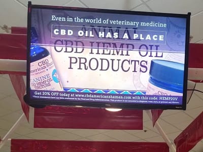 Enid American Shaman