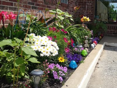 Essence Provisioning Center