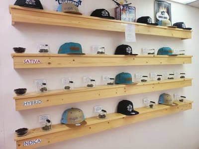 Euphoria Wellness - Butte Dispensary