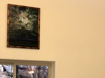 Euphoria Wellness - Hamilton Dispensary