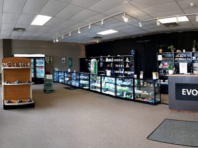 Evolution Health and Wellness + CBD