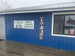 Five Leaf Clover 4.20